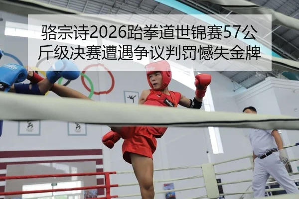 luo-zong-shi-tai-quan-dao-shi-jin-sai-gong-jin-ji-jue-sai-zao-yu-zheng-yi-pan-fa-han-shi-jin-pai-2-356.jpg